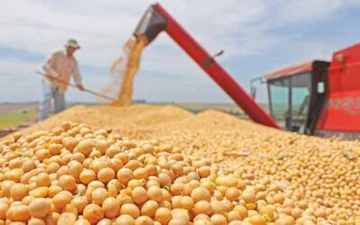 Colheita de soja atinge 73,62% da área total no Brasil; volume deve ser recorde em abril 