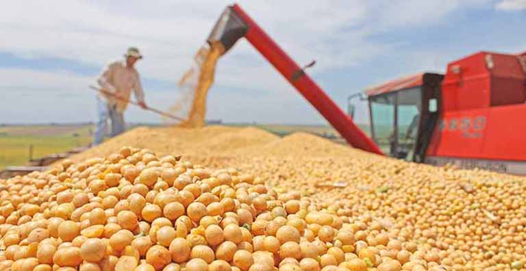 Colheita de soja atinge 73,62% da área total no Brasil; volume deve ser recorde em abril 