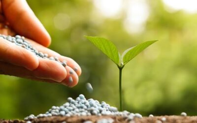 Entrega de fertilizantes cai 12,6% no Brasil