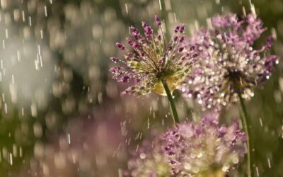 Segundo Inmet, 2022 teve o novembro mais frio dos últimos 46 anos