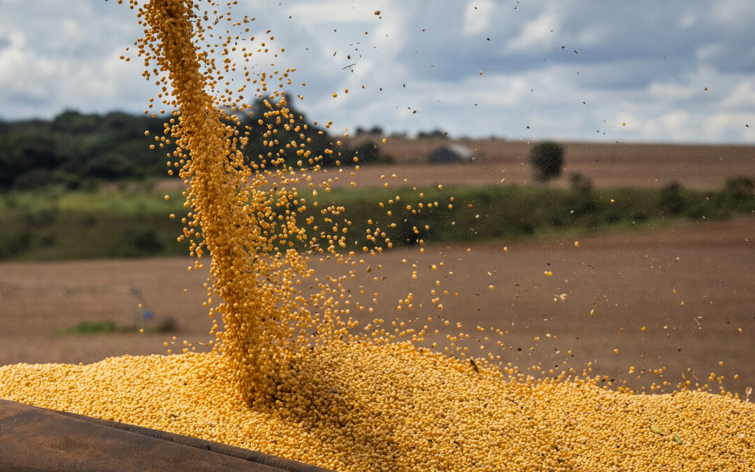 USDA prevê safra de soja brasileira em 153 milhões de toneladas