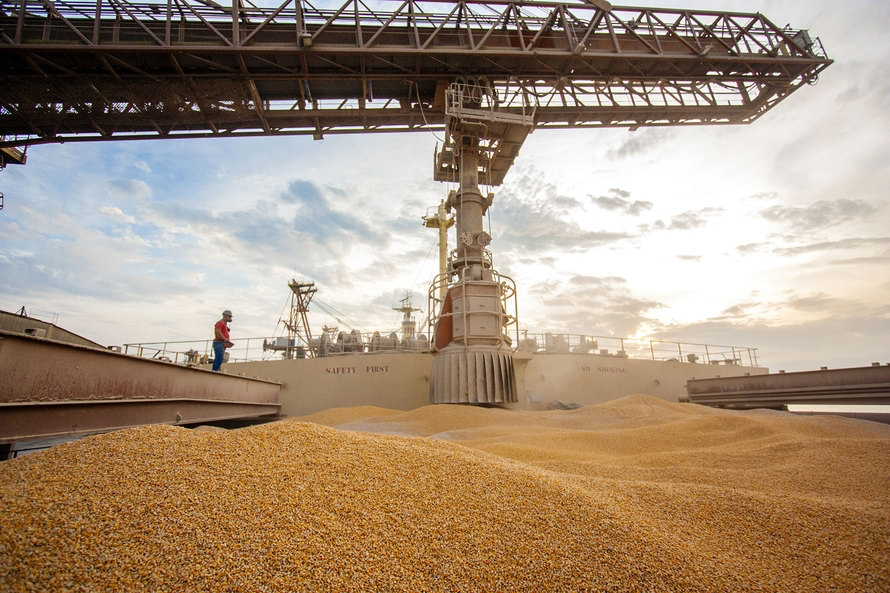 Brasil 759 mil toneladas de milho na primeira semana do ano