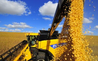 Colheita de soja no Brasil alcança 0,4% da área total