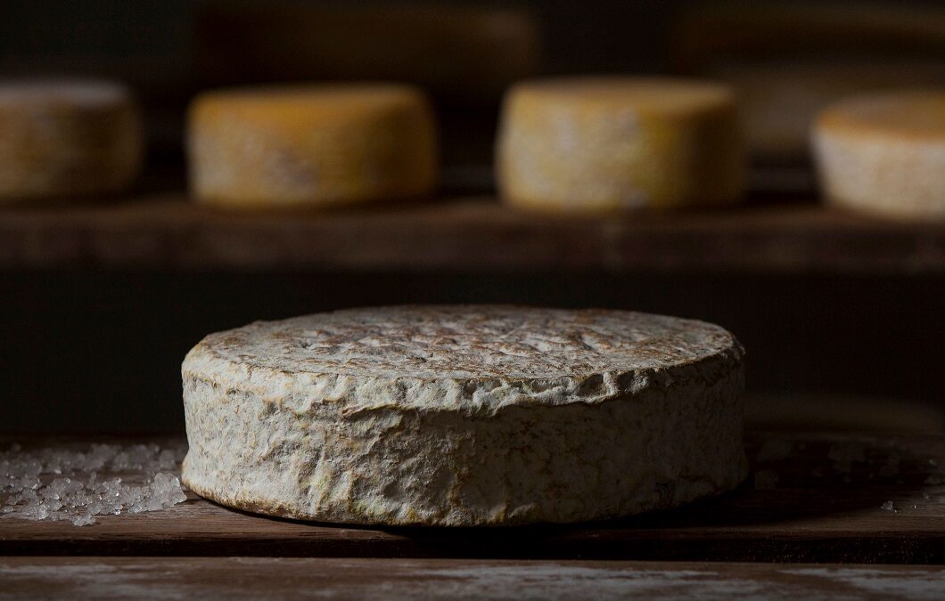 Minas é o primeiro estado a formalizar o queijo artesanal com casca florida