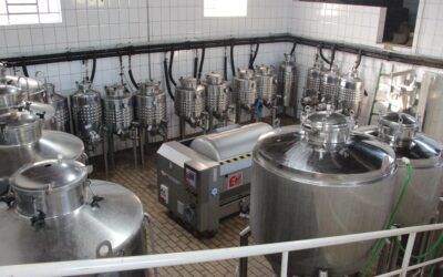 Vinhos desenvolvidos na Epamig são ouro em concurso nacional