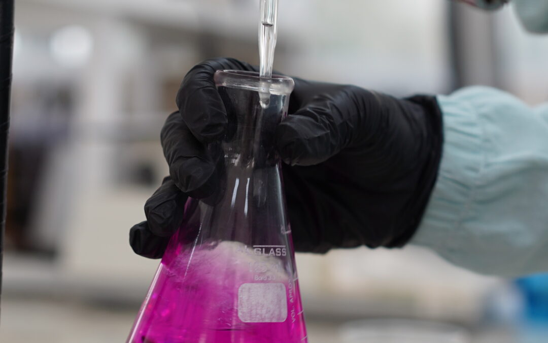 Análise de solo: para que serve e quando fazer?