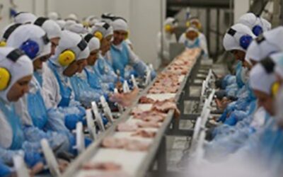 Emprego no agro cresce 1% em 2024 e supera 28 milhões de trabalhadores