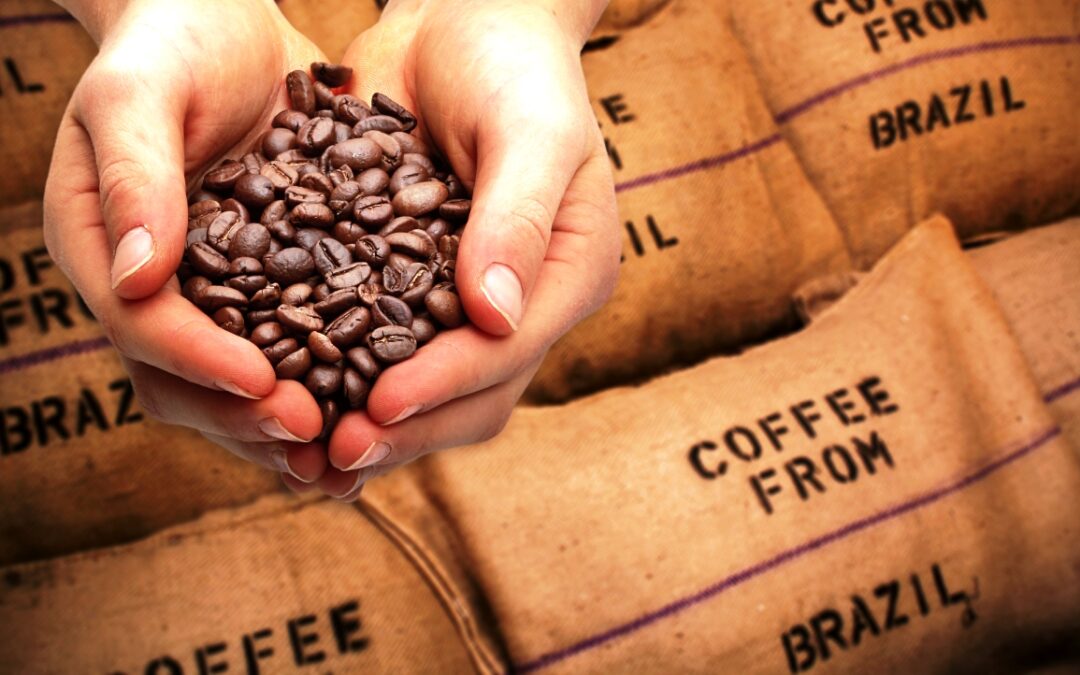 Café: exportações brasileiras tem receita recorde em 2022