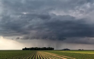 Chuvas fortes podem impactar colheita no SE e CO