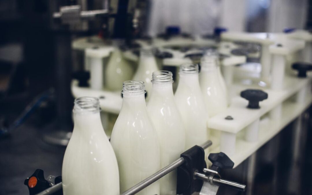 Leita: movimento de queda no preço pago ao produtor perde a intensidade