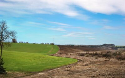 Intempéries climáticas interferem no plantio de grãos no Rio Grande do Sul