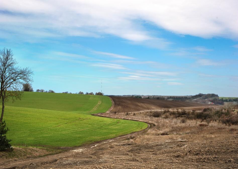 Intempéries climáticas interferem no plantio de grãos no Rio Grande do Sul