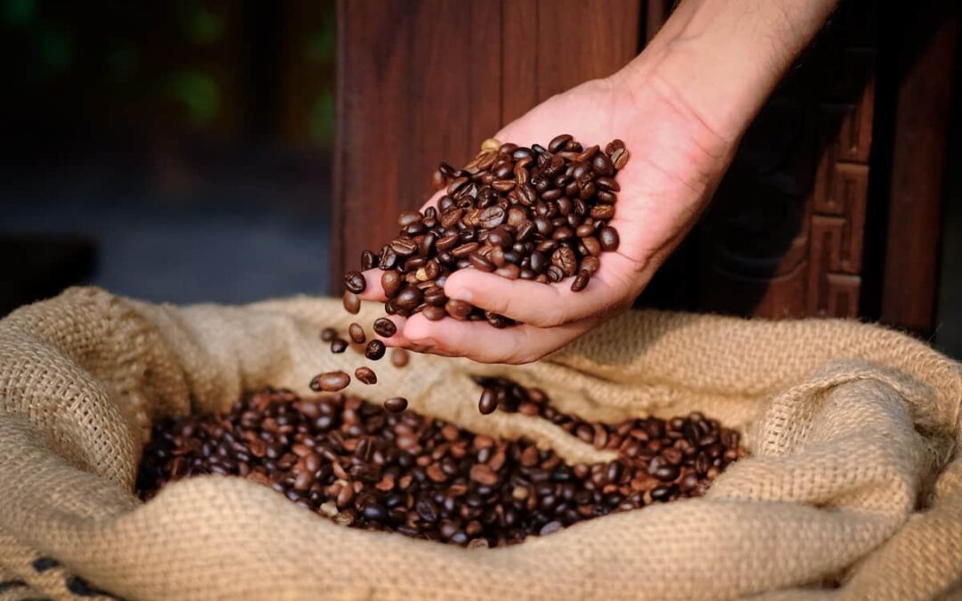 Presidente do CNC contesta “Safras e Mercados”