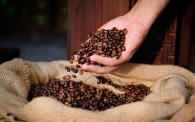 Clima impacta e ajuda a oscilar preços do café arábica