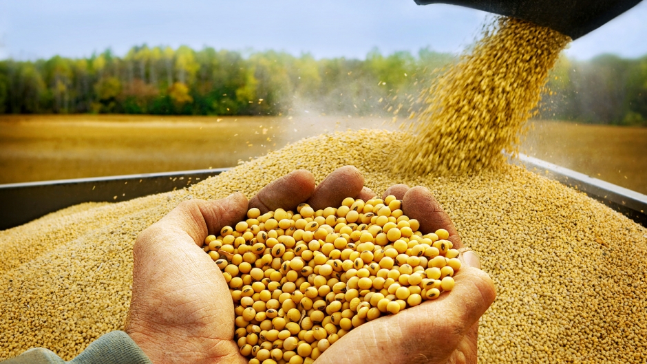 Brasil embarca 78,004 milhões de toneladas de soja em 2022, aponta ANEC