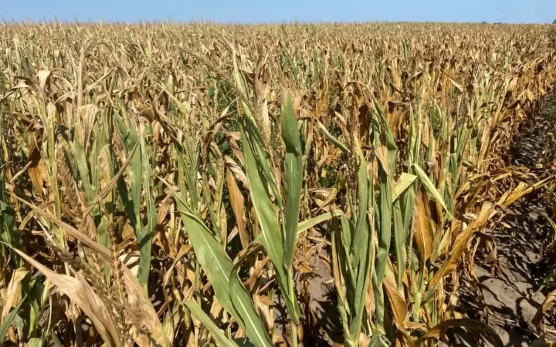 Áreas afetadas no RS receberão R$430 milhões do Governo Federal