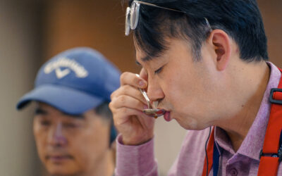 Novo protocolo de degustação de cafés e a crítica a instituições brasileiras