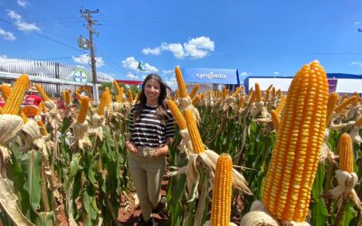 Play no Agro participa de uma das maiores feiras do Brasil