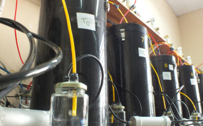 Sistema inédito de biorreatores monitora processos de compostagem