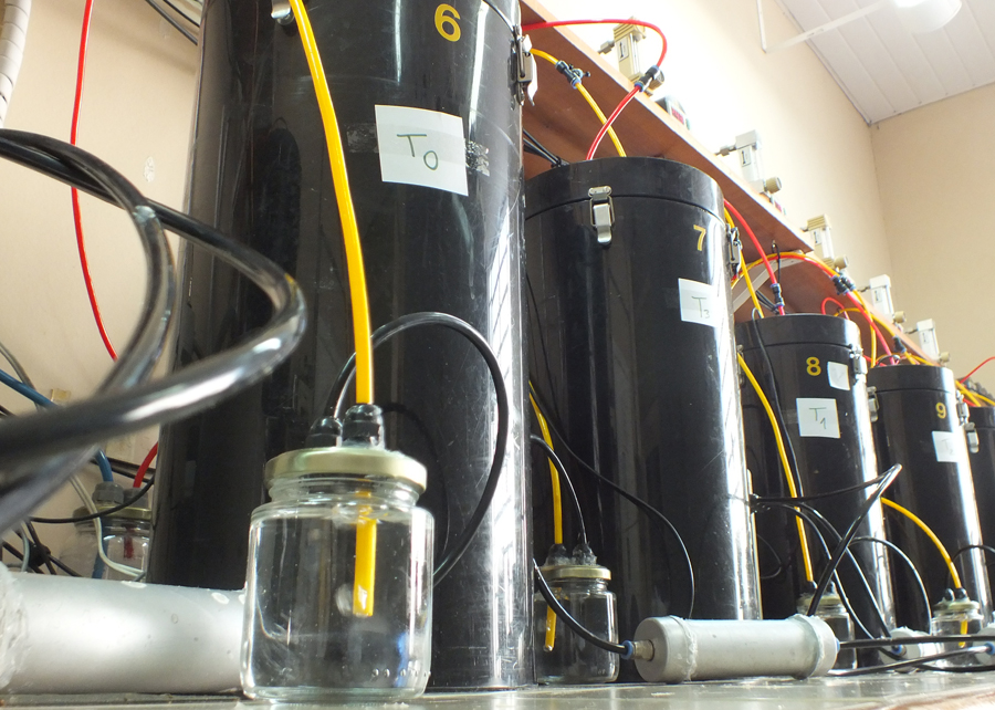 Sistema inédito de biorreatores monitora processos de compostagem