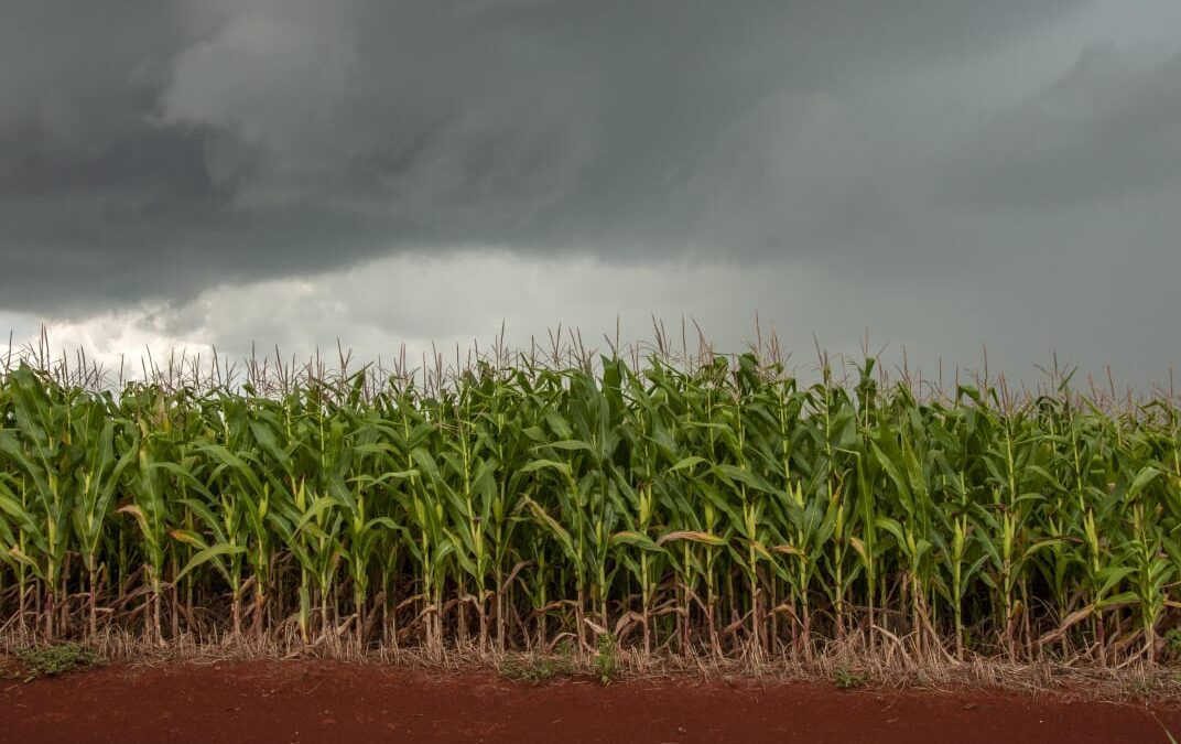 Rural Clima prevê retorno das chuvas ao Sul do Brasil