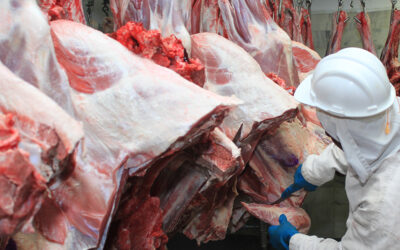 Mal da Vaca Louca: Entenda como fica o mercado brasileiro