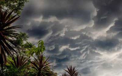 La Niña prejudica produção de hortifrútis e beneficia outras culturas