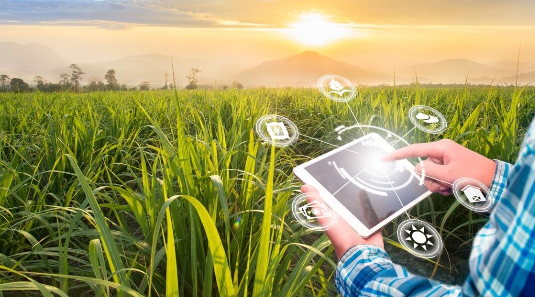 Tecnologia para novos modelos de gestão rural