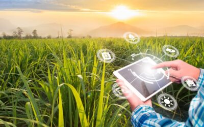 Tecnologia para novos modelos de gestão rural