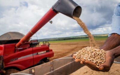 Colheita de soja atinge 70% de área no RS
