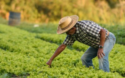UE apresenta projeto para economia de baixo carbono no Brasil