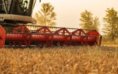 Produção de Grãos no Brasil terá colheita recorde 2022/2023