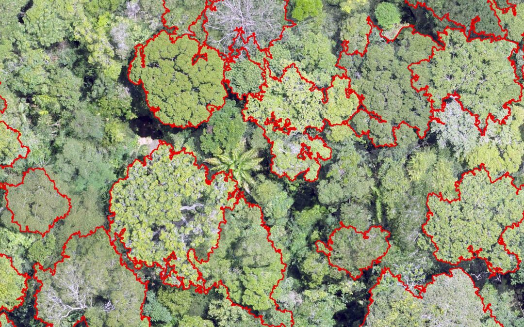 Embrapa Acre: Drones mapeiam florestas na Amazônia