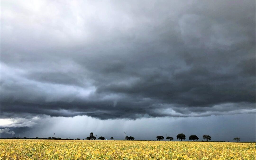 Semana começa com frente fria e chuva