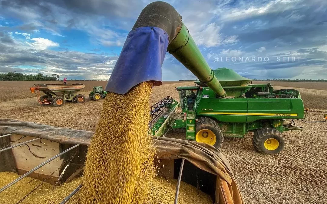 Estiagem no RS provocou quebra de 40% no milho