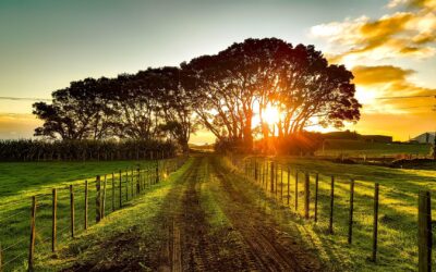 CLIMA: sul e sudeste entram em seu “agreste”