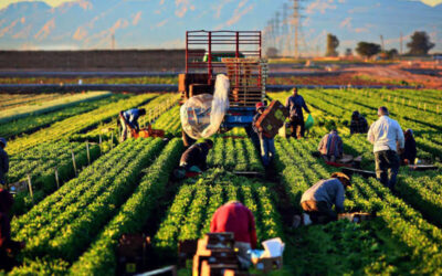 Governo quer melhorias para o Pronaf
