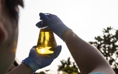 Produção recorde de etanol de milho é apresentado ao Mapa