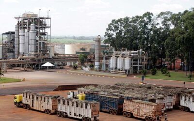 Setor de produção do etanol comemora novas alíquotas