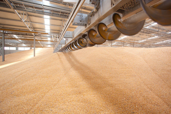 Seeds and grain silo / metal