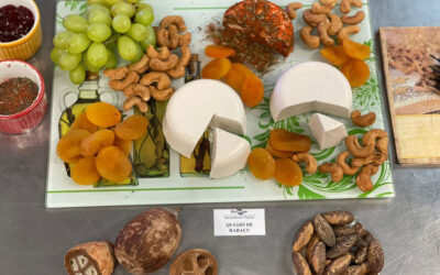 Produtores podem opinar sobre a produção de queijos até 5 de julho, diz IMA