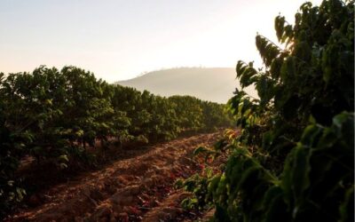 Quedas de temperatura em maio; e o El Nino