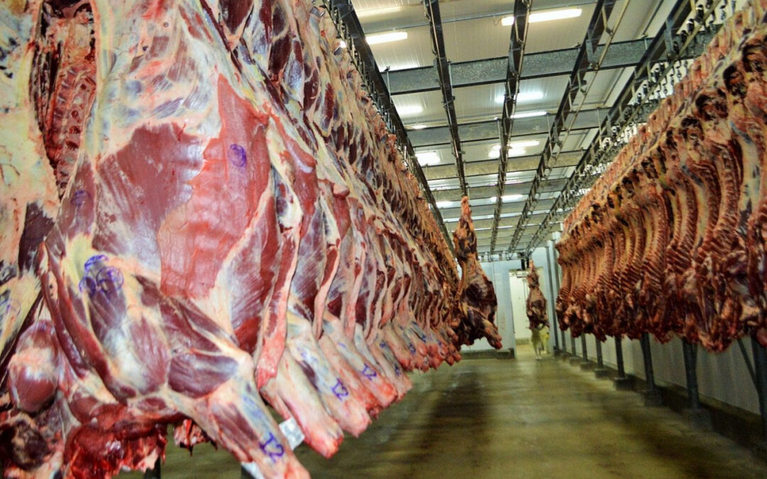 China diminui demanda por carne bovina brasileira