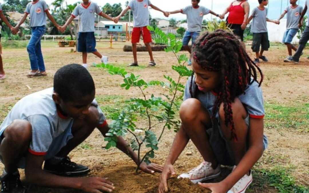 Polêmica sobre “retrato do agronegócio no livro didático” é rebatida pelo MEC. 