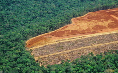 União Europeia passa a adotar Lei Verde