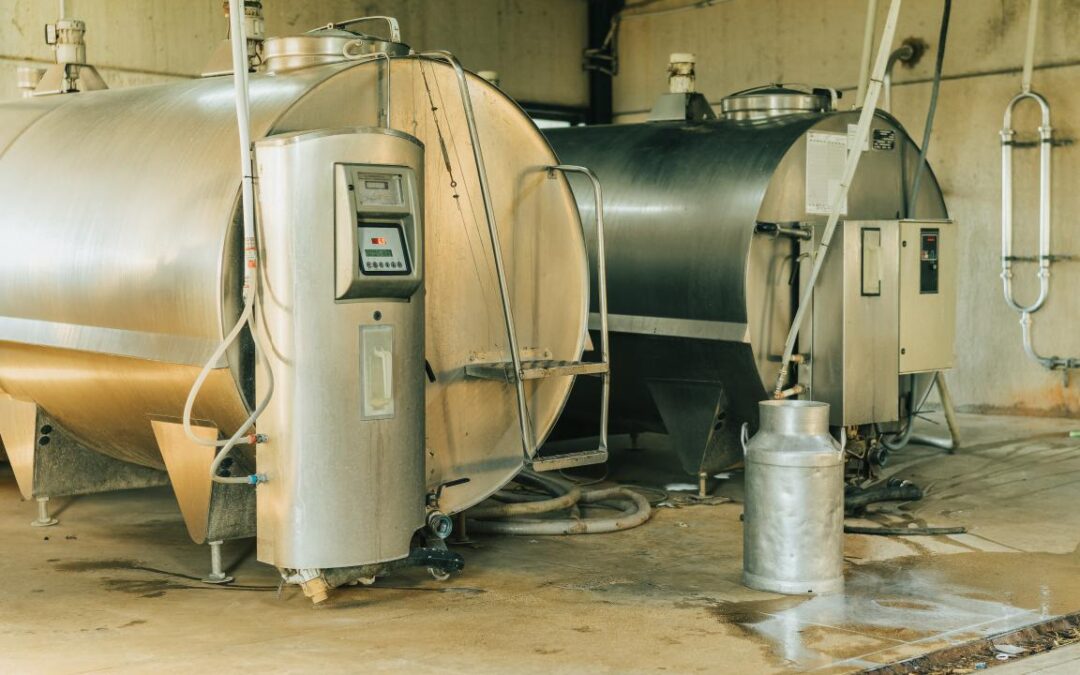 Leite: primeiro trimestre aponta alta de 9,3% no preço pago ao produtor