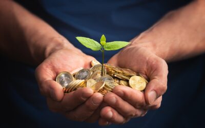 Crédito Rural bate recorde e libera R$ 317,2 bilhões