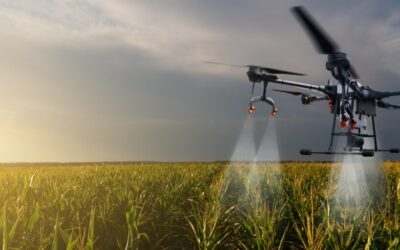 STF retoma julgamento sobre pulverização aérea no agro