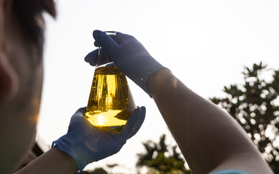 Brasil bate recorde na produção de etanol em 2024