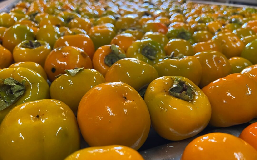 Os desafios da agroindústria brasileira para a fruticultura